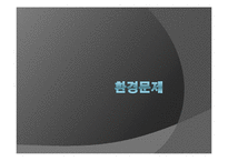 환경문제의 실태와 대책 및 개선방안-1