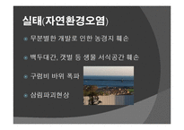 환경문제의 실태와 대책 및 개선방안-5
