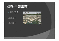 환경문제의 실태와 대책 및 개선방안-9