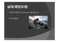 환경문제의 실태와 대책 및 개선방안-10