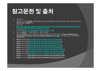 환경문제의 실태와 대책 및 개선방안-20