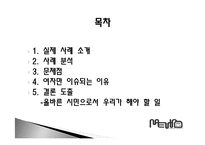지하철 XX녀 문제 고찰-2