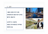 청계천 복원사업의 의의-8
