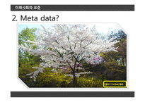 Adobe XMP, ISO 국제표준-9