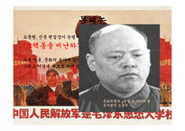 중국의 문화대혁명 평가-5