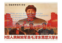 중국의 문화대혁명 평가-6