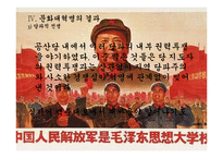 중국의 문화대혁명 평가-14