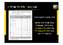 케이블 TV 심의 레포트-4
