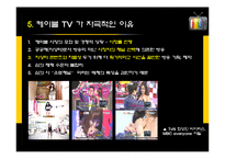 케이블 TV 심의 레포트-13