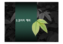 JVIS 검사에 대한 이해-13