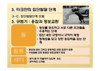 터크만의 집단발달단계 연구-17