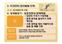터크만의 집단발달단계 연구-18