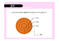 중국의 문화와 광고-2