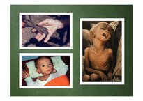 FAO의 성과와 한계 고찰-3