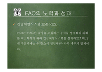 FAO의 성과와 한계 고찰-13