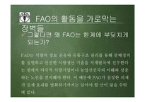 FAO의 성과와 한계 고찰-20