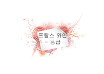 프랑스 보르도 와인-7