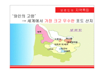프랑스 보르도 와인-10