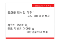 프랑스 보르도 와인-11