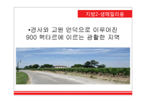 프랑스 보르도 와인-20