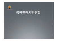북한인권시민연합, 국제앰네스티-2