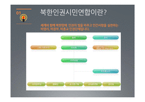 북한인권시민연합, 국제앰네스티-3