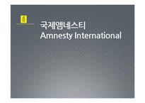 북한인권시민연합, 국제앰네스티-10