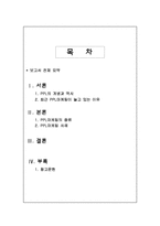PPL 마케팅 사례-2