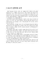 PPL 마케팅 사례-3