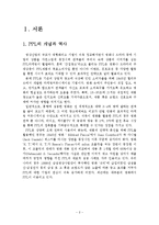 PPL 마케팅 사례-4