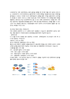 개인 마켓 시스템 포스트딜(PostDeal) 사례 연구-10