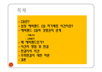 에버랜드 CB & 삼성그룹 경영권-2