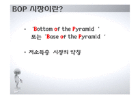BOP 시장의 신성장동력 고찰-3