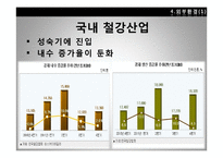 포스코의 국제경영전략-9
