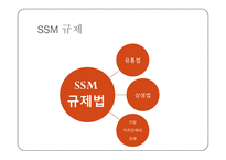 SSM 규제 분석 레포트-8