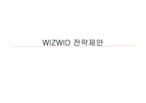 WIZWID 분석과 전략제안-15