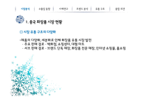 중국의 화장품 시장-10