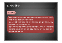천연목욕용품 사업 경영 전략-6