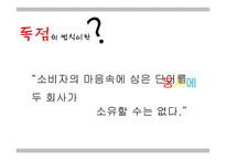 독점의 법칙 레포트-3