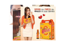 동야제약의 박카스 브랜드 관리 전략-4
