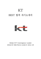 KT 케이티 영업 관리 최신 BEST 합격 자기소개서!!!!-1