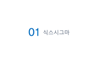 [생산관리] 식스 시그마 품질 - 현대 모비스-3