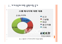 [카카오톡]카카오톡의 문제점과 해결방안 PPT자료-3