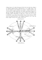 [e-비즈니스 3공통] 네트워크를 구성하는 시스템을 구분하는 물리적기준과 세가지 시스템 제시-8