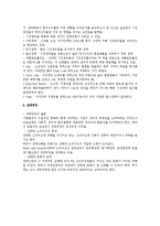 경영전략수립과 경영전략실행 검토(경영)-4