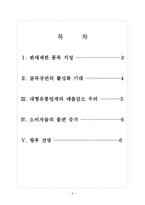 [대형마트와SSM]대형마트와 기업형슈퍼마켓(SSM)에 대한 정부의 규제와 영향 보고서-2