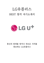 LG유플러스 엘지유플러스 FM 영업전문직 최신 BEST 합격 자기소개서!!!!-1