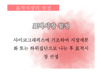 [관광마케팅] chapter4 여행관광 산업의 세분화-6