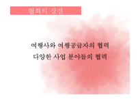 [관광마케팅] chapter4 여행관광 산업의 세분화-17