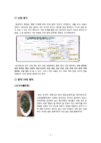 중국 10대 명차-2